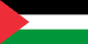 巴勒斯坦 flag